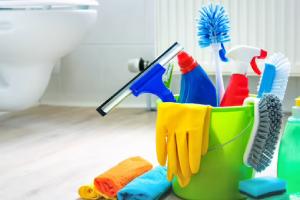 Messie Reinigung Oberursel (taunus)